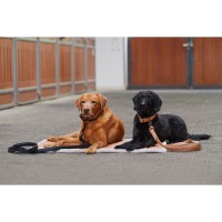 Eskadron Hundeset Platinum (Halsband + Leine), black, cognac