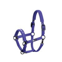 Eskadron Halfter Doppeldornschnalle Dynamic, purple, black