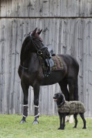 Eskadron Hundemantel Platinum, teak brown kariert