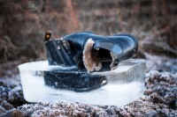 Tonics Stiefelette Stardust Frost, schwarz