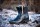 Tonics Stiefelette Stardust Frost, schwarz