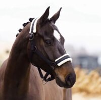 Imperial Riding Lammfell- Halfter Jewel, black