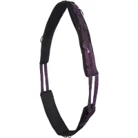 Imperial Riding Longiergurt Deluxe Extra Nylon
