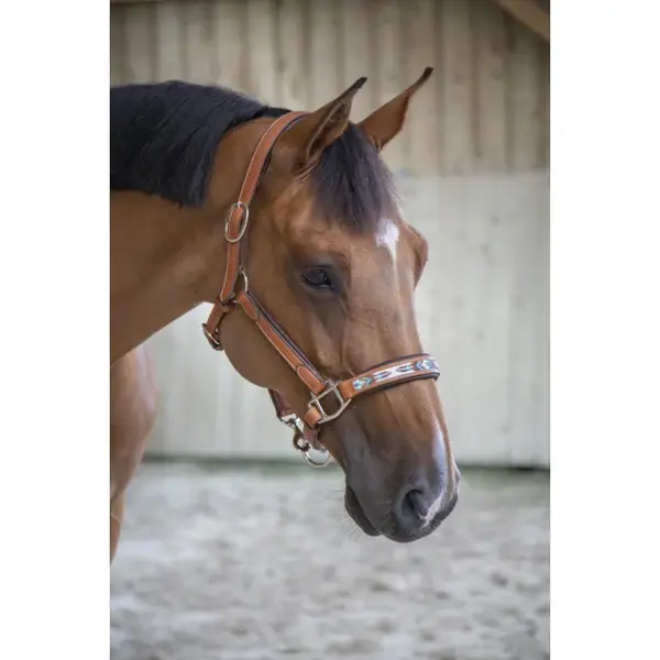 Penelope Lederhalfter Pearl, Cognac