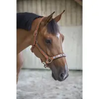 Penelope Lederhalfter Pearl, Cognac