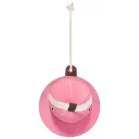 Hv Polo Stable Buddy Helmet