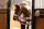 Eskadron Halfter Fauxfur Platinum golden yellow, soft rouge, taupe, black