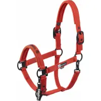 Eskadron Halfter Dynamic dark olive, poppy red